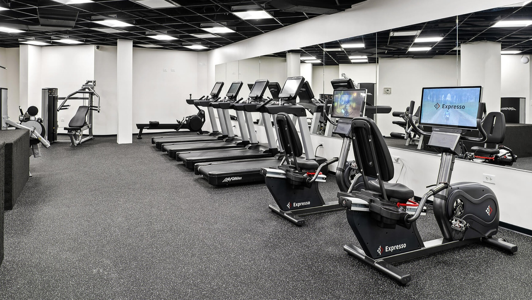 Well-equipped fitness center with various cardio machines including treadmills and ellipticals at The Deco North Lake Shore in Chicago