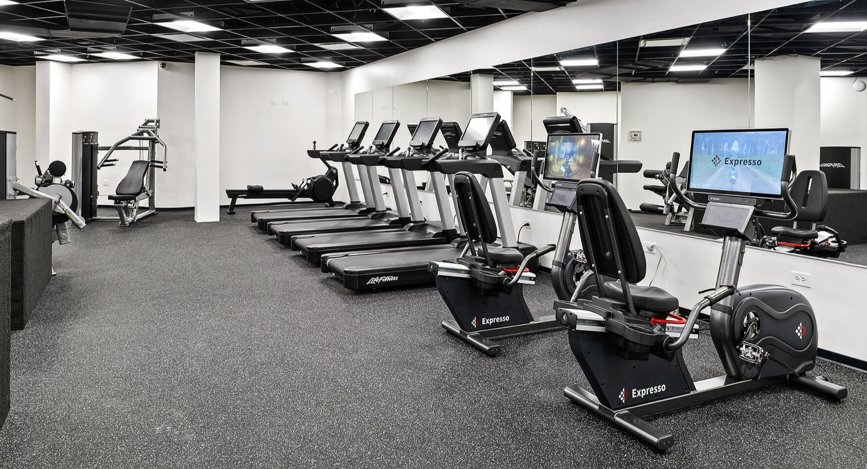 Well-equipped fitness center with various cardio machines including treadmills and ellipticals at The Deco North Lake Shore in Chicago