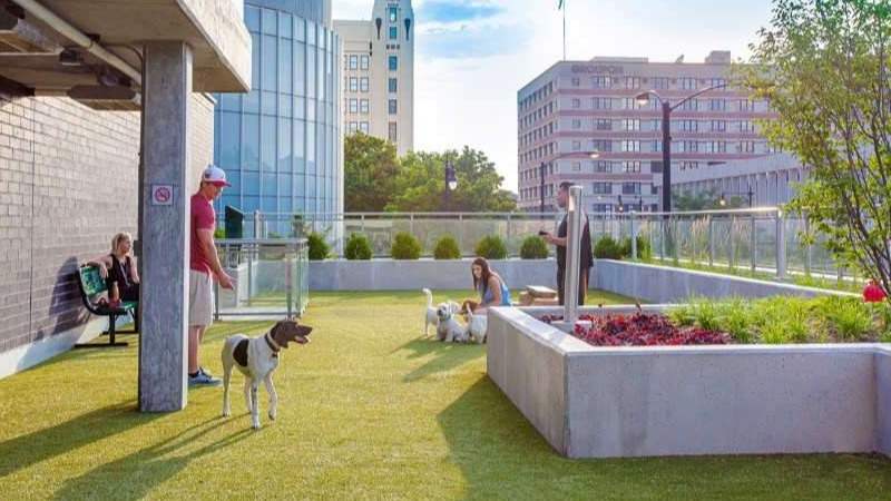 Expansive rooftop dog park at The Hudson in Chicago, featuring artificial turf, pet-friendly amenities, and city views
