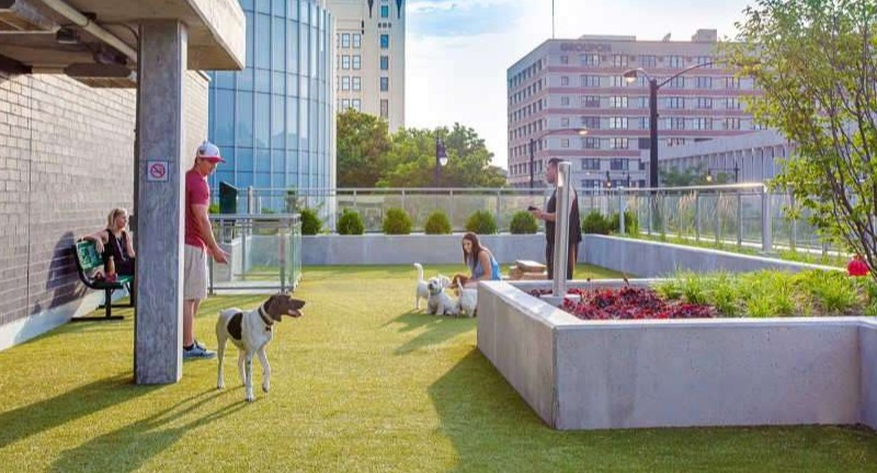 Expansive rooftop dog park at The Hudson in Chicago, featuring artificial turf, pet-friendly amenities, and city views