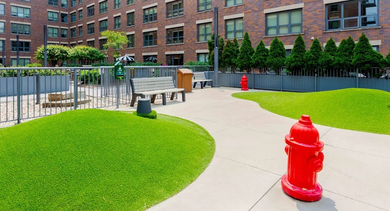 A spacious outdoor pet run area with artificial turf, benches, and bright red fire hydrant decor at The Madison at Racine in Chicago