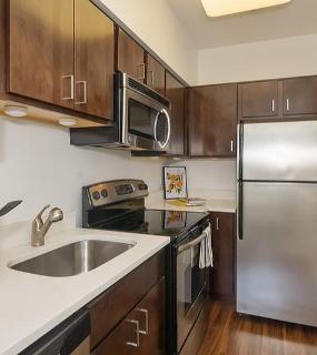 Modern kitchen with stainless steel appliances and dark wood cabinets at The Seneca Apartments in Chicago