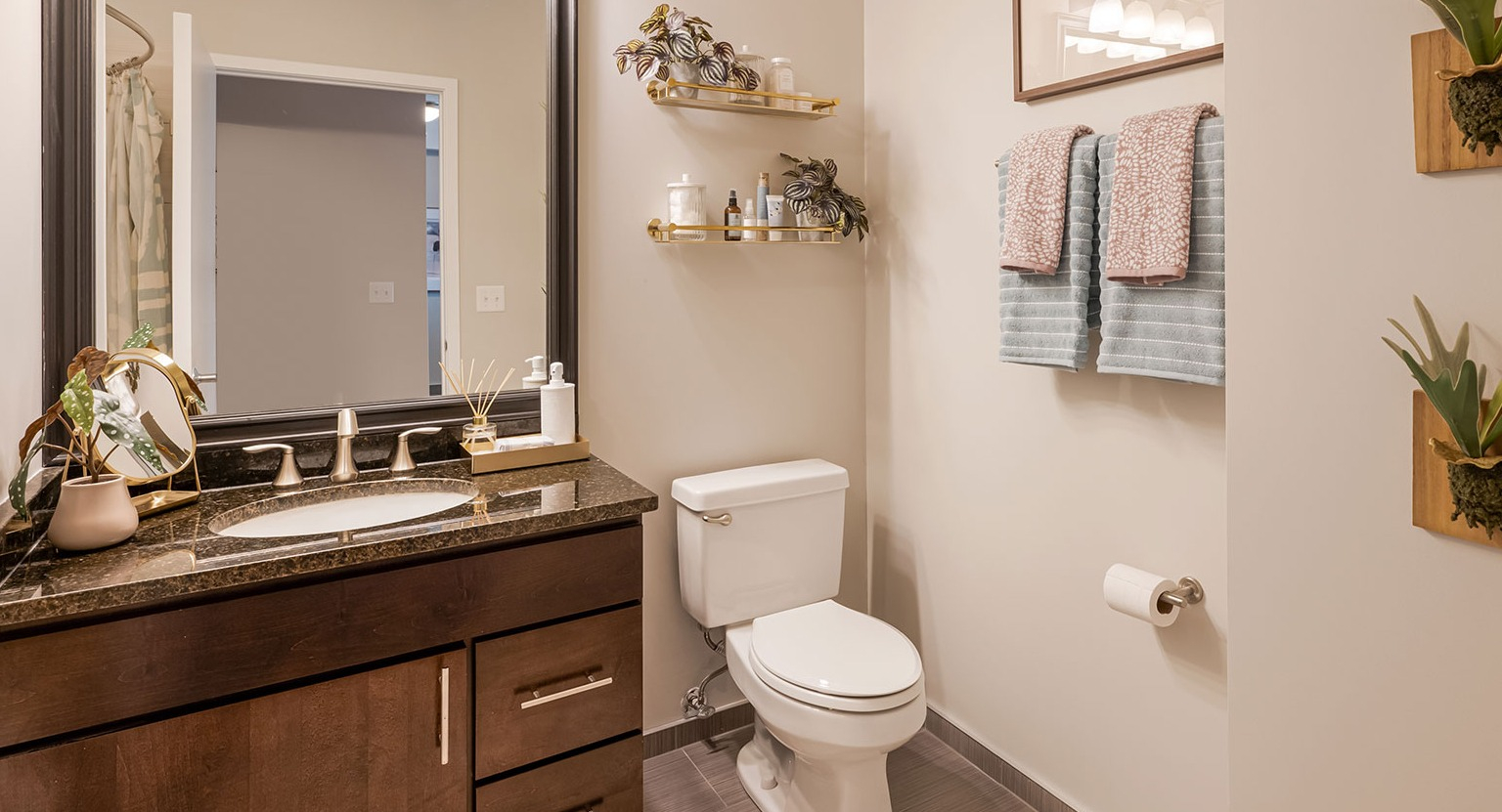 A sleek bathroom with a dark wood vanity, a large mirror, and a combined shower-tub area with decorative wall plants at The Streeter in Chicago