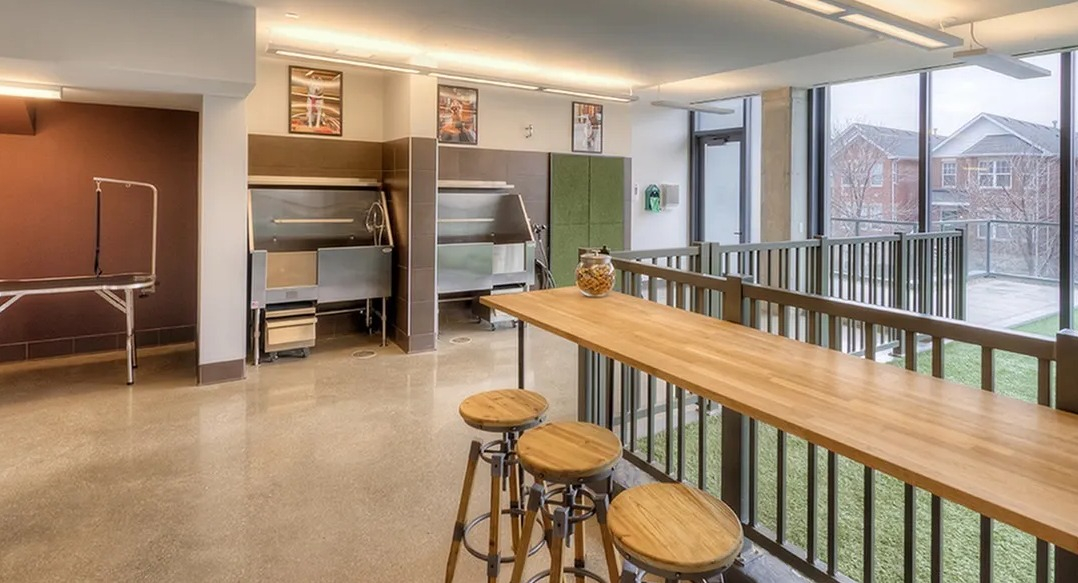 Dedicated pet wash area with a grooming tub and a long table, adjacent to an outdoor dog run at Xavier Apartments in Chicago